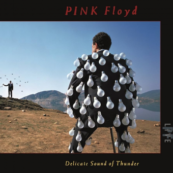 Pink Floyd 2008 - Delicate Sound of Thunder (Live) - Na escolha de 10 álbuns musicais, 10 filmes ou desenhos, o Pen-Drive será grátis...Aproveite!