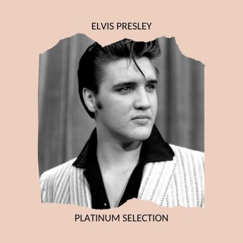 Elvis Presley 2020 - Platinum Selection - Na escolha de 10 álbuns musicais, 10 filmes ou desenhos, o Pen-Drive será grátis...Aproveite!