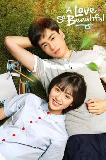 DORAMA - A Love So Beautiful (Dublado) - PEN-DRIVE INCLUSO