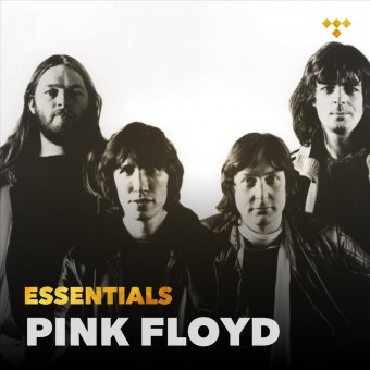 Pink Floyd 2018 - Essentials - Na escolha de 10 álbuns musicais, 10 filmes ou desenhos, o Pen-Drive será grátis...Aproveite!