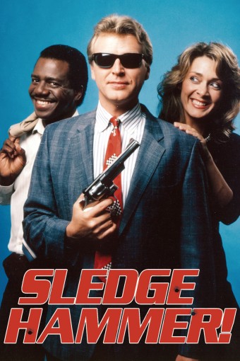 Na Mira do Tira (Sledge Hammer!) - Completa (Todas as 2 Temporadas) (Legendado) - *PEN-DRIVE INCLUSO 