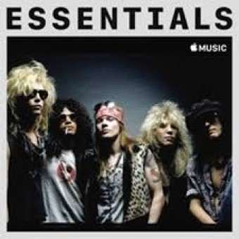 Guns N&#39; Roses 2020 - Essentials - Na escolha de 10 álbuns musicais, 10 filmes ou desenhos, o Pen-Drive será grátis...Aproveite!