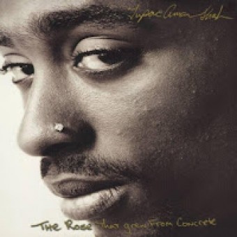2Pac 2000 - The Rose That Grew From Concrete - Na Escolha de 10 álbuns musicais, 10 filmes ou desenhos, o Pen-Drive será grátis...Aproveite!