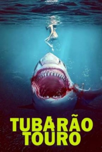 2022 Tubarão Touro (Dublado) - Na Escolha de 10 filmes ou desenhos, o Pen-Drive será grátis...Aproveite!