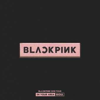 BLACKPINK 2019 - TOUR _IN YOUR AREA_ SEOUL (Live) (2018) - Na escolha de 10 álbuns musicais, 10 filmes ou desenhos, o Pen-Drive será grátis...Aproveite!