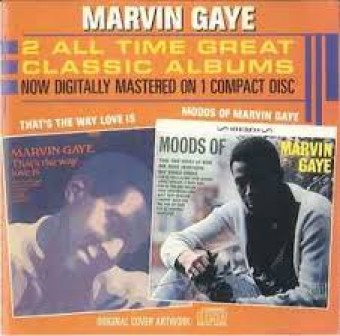 Marvin Gaye 1987 - Moods Of Marvin Gaye That&#39;s The Way Love Is - Na escolha de 10 álbuns musicais, 10 filmes ou desenhos, o Pen-Drive será grátis...Aproveite!
