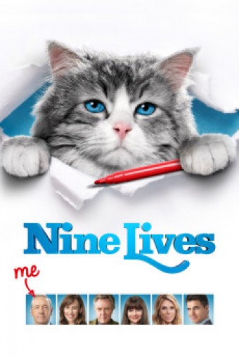 2016 Virei Um Gato (Nine Lives) (Legendado) - Na Escolha de 10 filmes ou desenhos, o Pen-Drive será grátis...Aproveite!