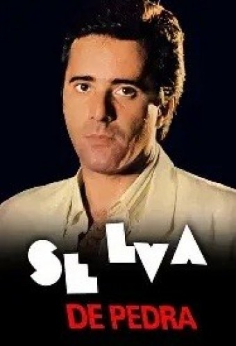 NOVELA - Selva de Pedra GLOBO (1986) (Completa) - PEN-DRIVE INCLUSO