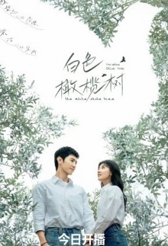 DORAMA - A Oliveira Branca (Legendado) - PEN-DRIVE INCLUSO