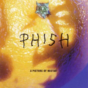 Phish 1992 - A Picture Of Nectar - Na Escolha de 15 álbuns musicais e Video, o Pen-Drive será grátis...Aproveite!