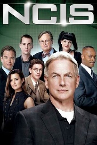 NCIS - Investigação Naval - 08ª Temporada (Dublado) - PEN-DRIVE INCLUSO