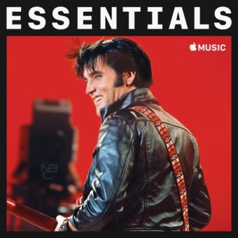 Elvis Presley 2020 - Essentials - Na escolha de 10 álbuns musicais, 10 filmes ou desenhos, o Pen-Drive será grátis...Aproveite!