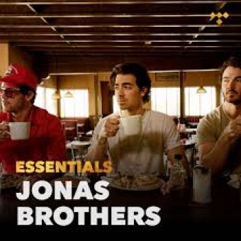 Jonas Brothers 2020 - Essentials - Na escolha de 10 álbuns musicais, 10 filmes ou desenhos, o Pen-Drive será grátis...Aproveite!