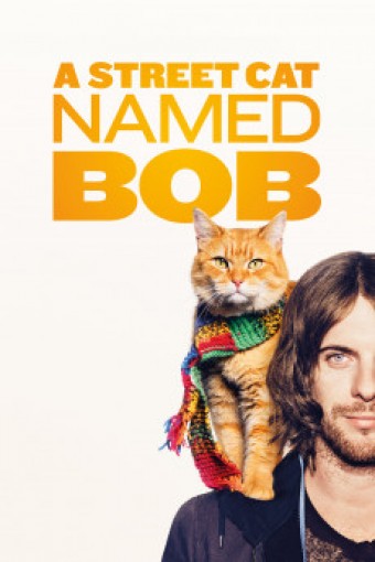2016 Um Gato de Rua chamado Bob (A Street Cat Named Bob) (Legendado) - *Na Escolha de 10 filmes ou desenhos, o Pen-Drive será grátis...Aproveite!