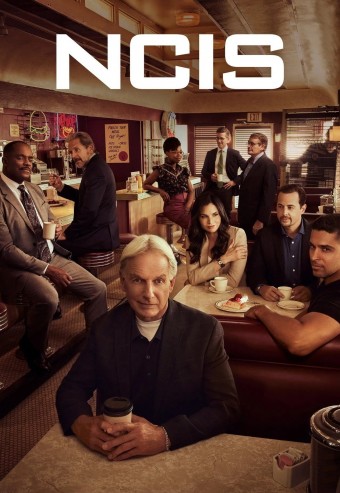 NCIS - Investigação Naval - 21ª Temporada (Dublado) - PEN-DRIVE INCLUSO 