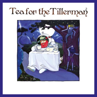 Cat Stevens 2020 - Tea For The Tillerman² - Na escolha de 10 álbuns musicais, 10 filmes ou desenhos, o Pen-Drive será grátis...Aproveite!