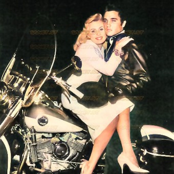 Elvis Presley 2021 - The Complete 1960 Sessions (Remastered) - Na escolha de 10 álbuns musicais, 10 filmes ou desenhos, o Pen-Drive será grátis...Aproveite!