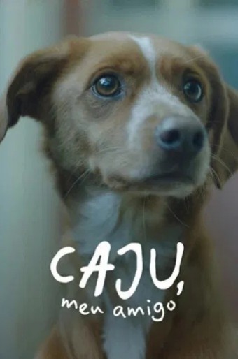 2026 Caju Meu Amigo (Nacional) - *Na Escolha de 10 filmes ou desenhos, o Pen-Drive será grátis...Aproveite!
