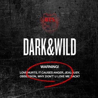 BTS 2014 2014- Dark & Wild - Na escolha de 10 álbuns musicais, 10 filmes ou desenhos, o Pen-Drive será grátis...Aproveite!